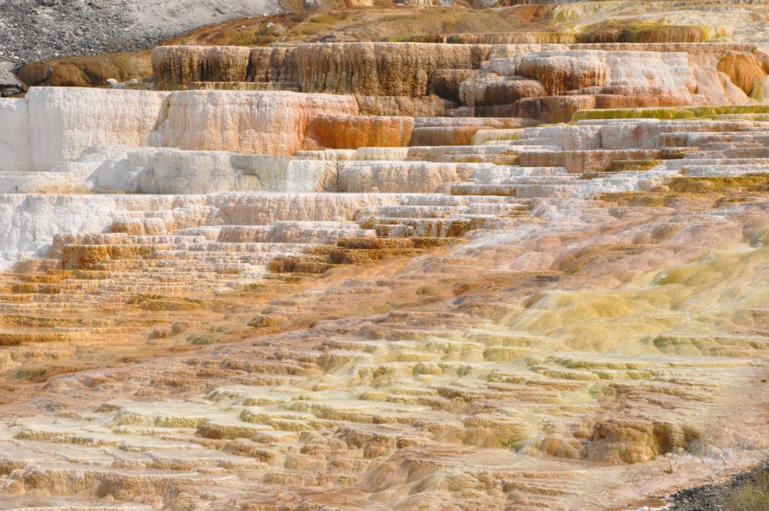Mineral deposits and salt.