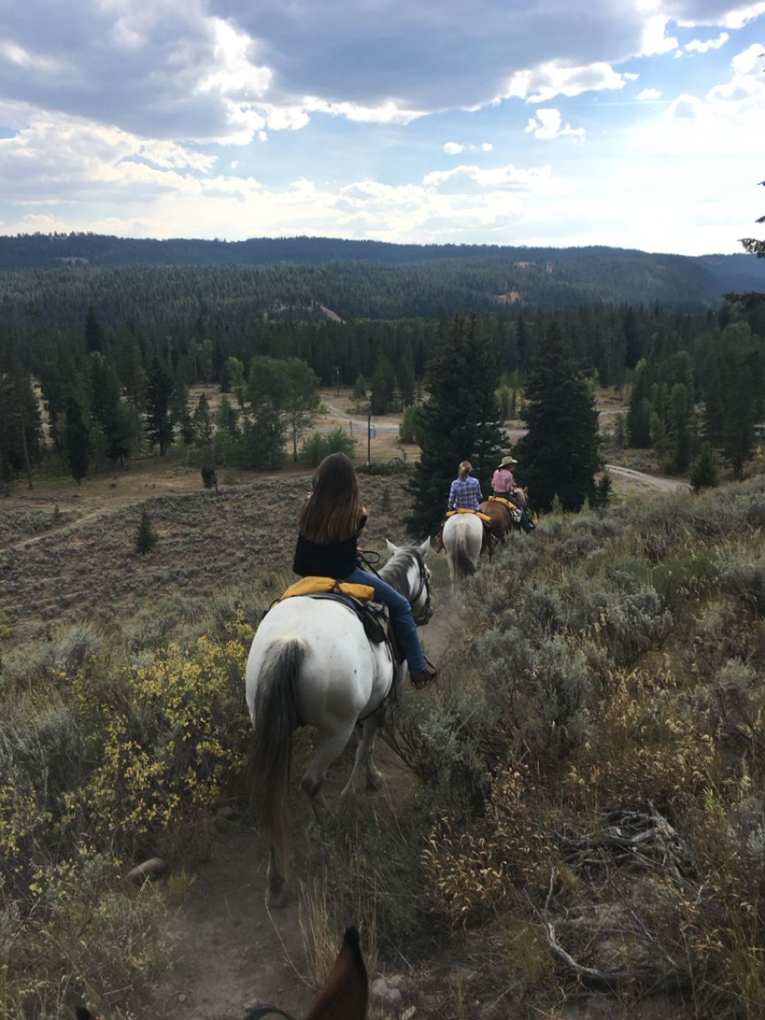 Wyoming Ranch riding!