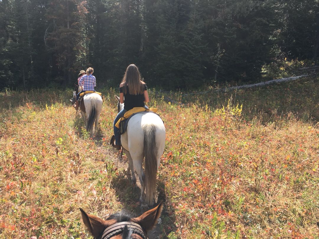 Wyoming Ranch riding!