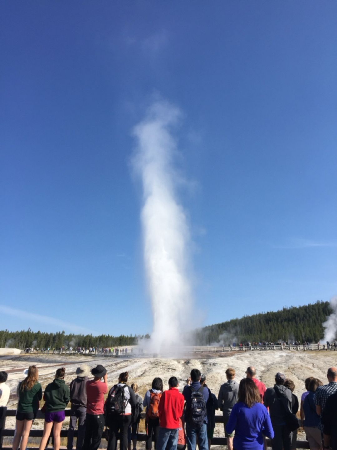 Old Faithful like clockwork!