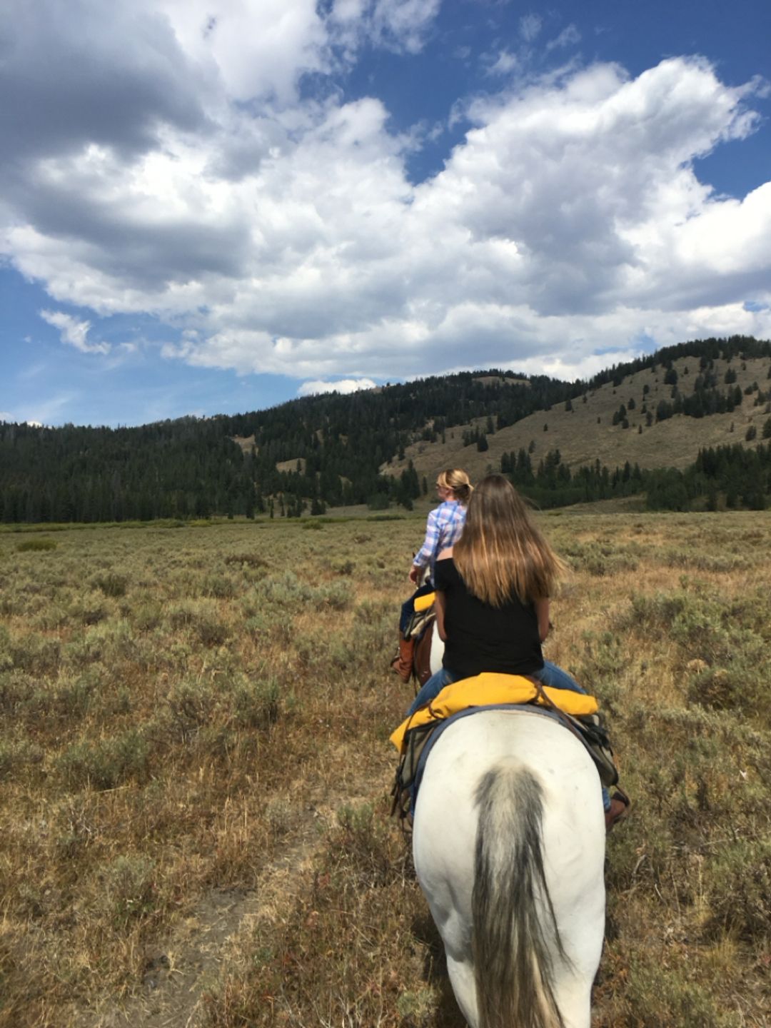 Wyoming Ranch riding!
