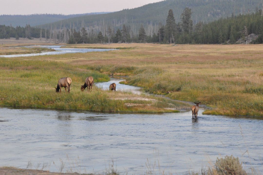 Yellow sulfer river.