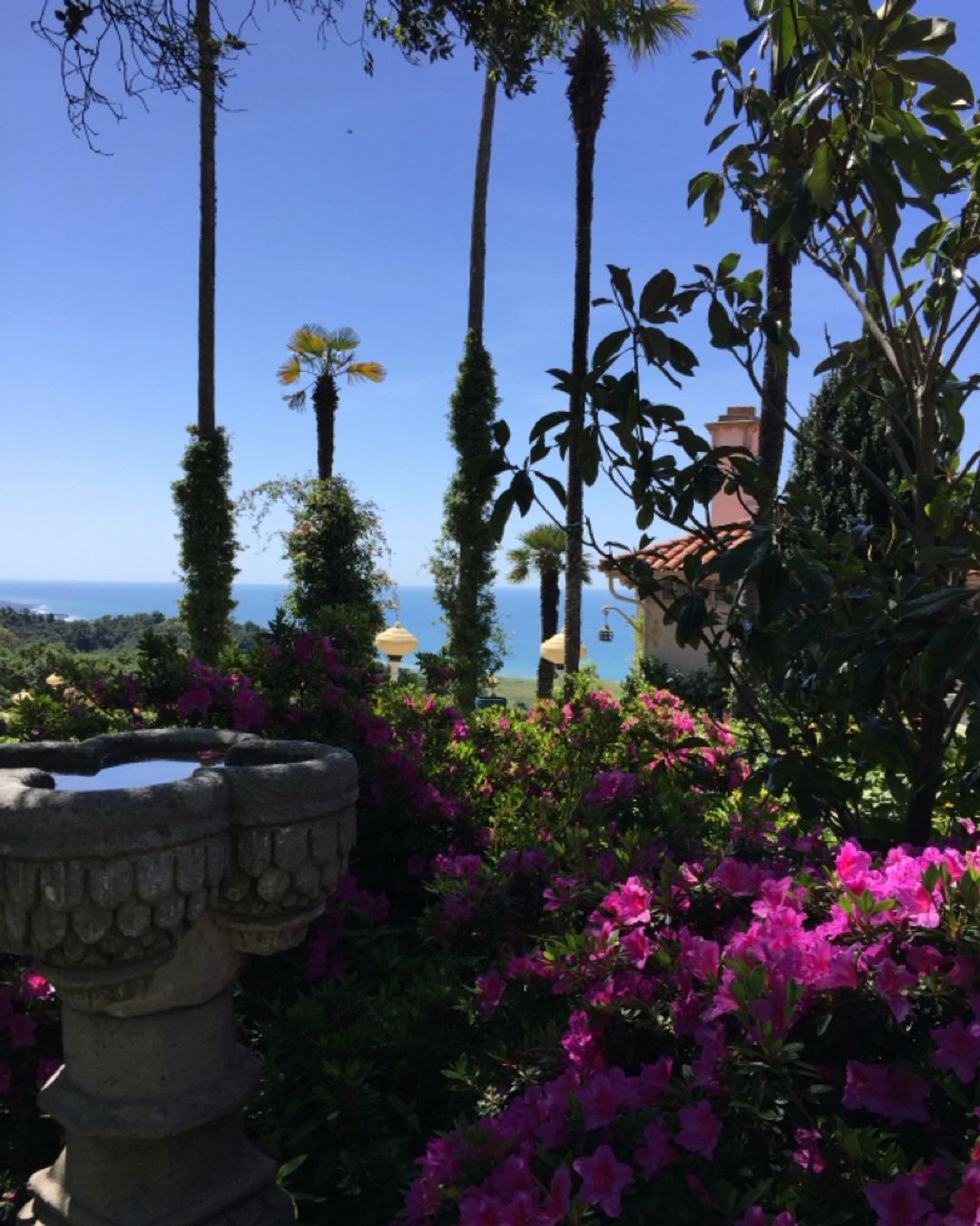Best view in the state of California!